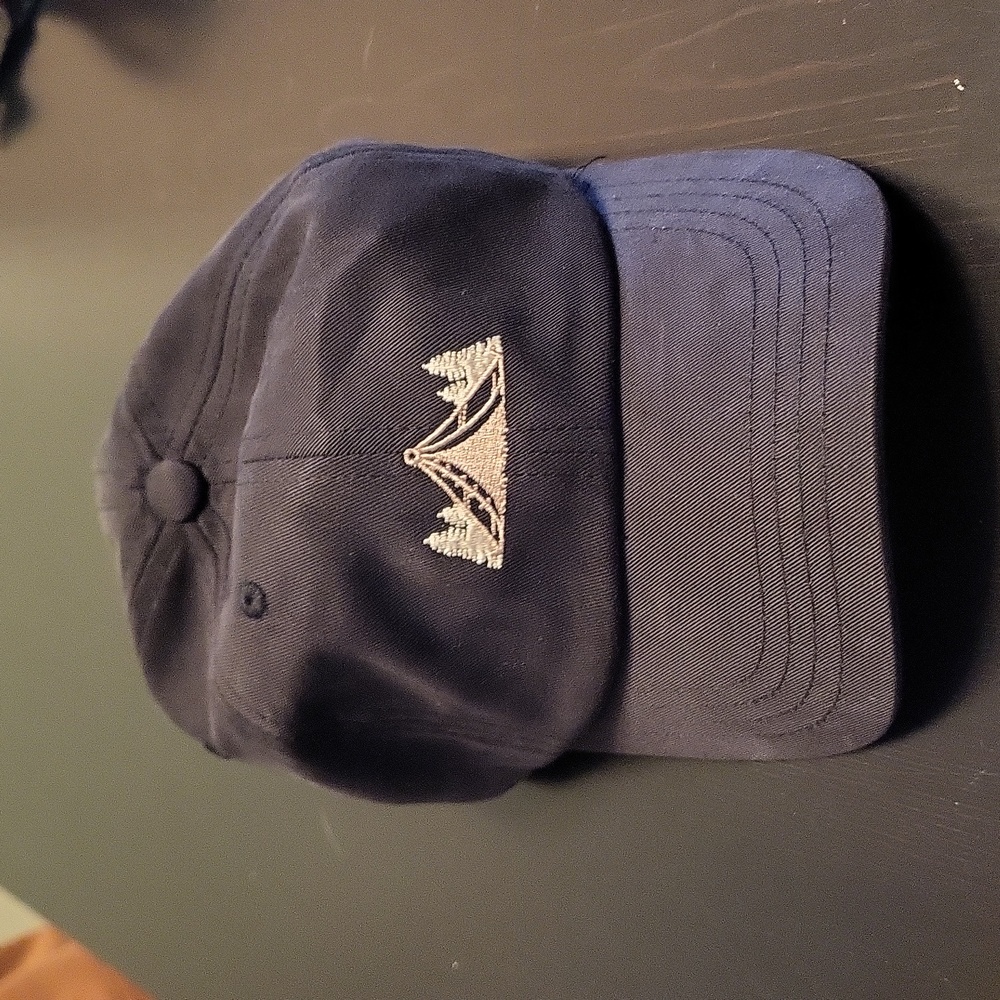 Tentree black hat